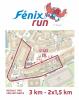 Fénix Run